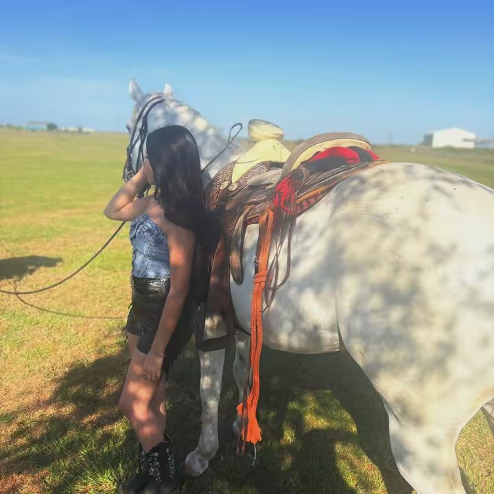 𝐝𝐞𝐧𝐢𝐬𝐞ꨄ