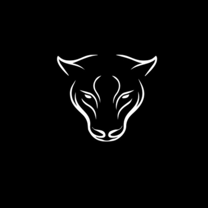 PanteraProduccionesMDQ