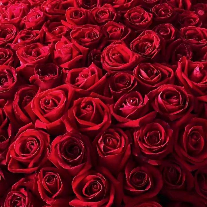 กะโนวนอยด์🧺📦🧸