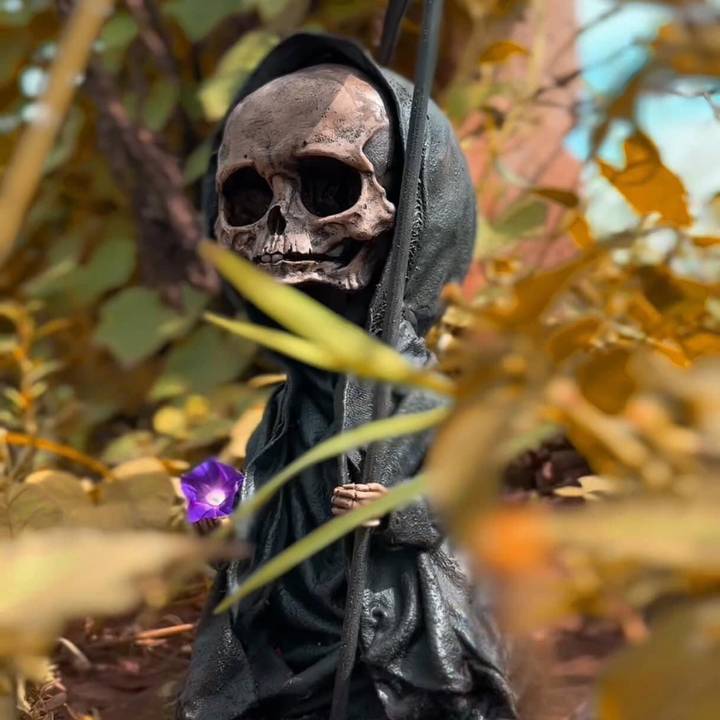 Padrino..Saul..tarot