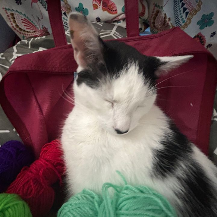 ®️🅰️🌅🎉🅾️Ⓜ️