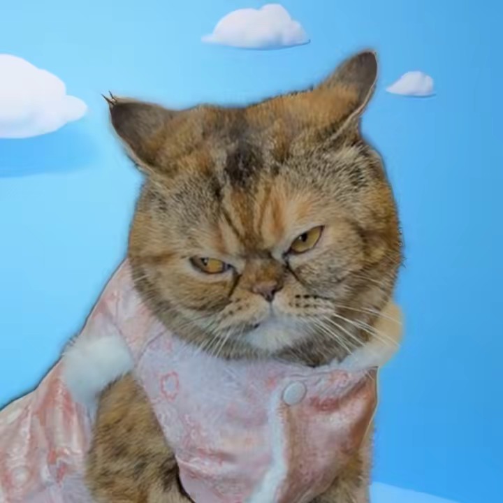 อากิจังดั้งแหมบ