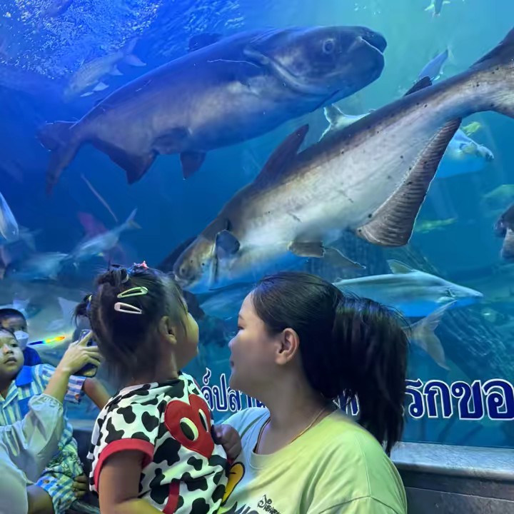 🕉️kwang💖💵🔮