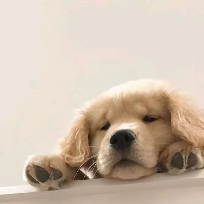 💙ヨーグルト💙