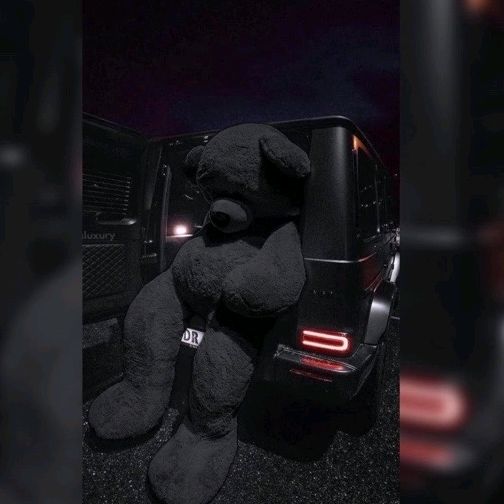 qwerty teddy 🧸💯🧸