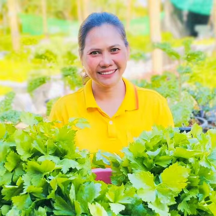 สวนผักครูวัชShops🌶️🐆