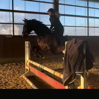 🐝✨️👱🏻‍♀️