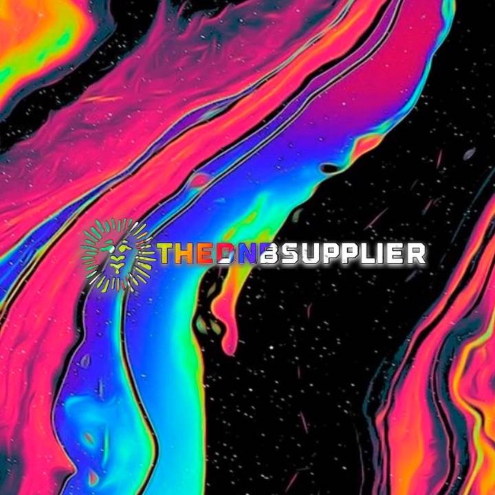 The Dnb Supplier