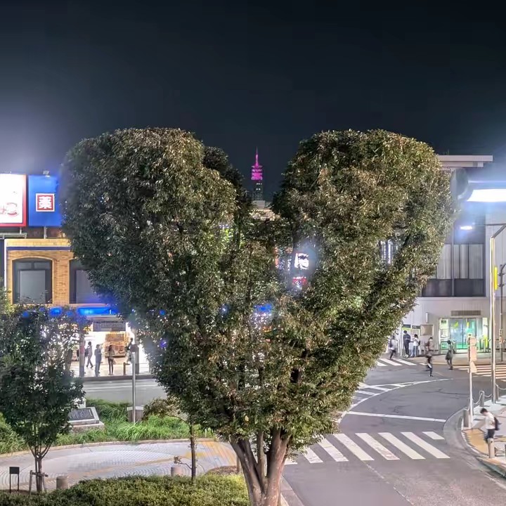 ☪︎*·̩͙𝐿𝑈𝑁𝐴✩.*˚🩺@がばい帝国ゾンビ⑦