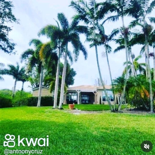 dj Anthony cargo de carro 🎥