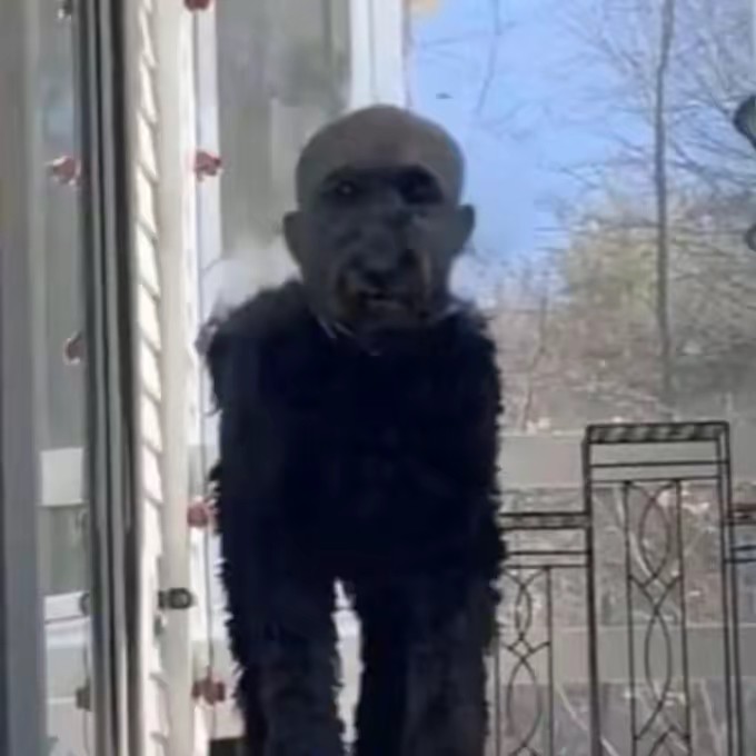 °нормалёк°