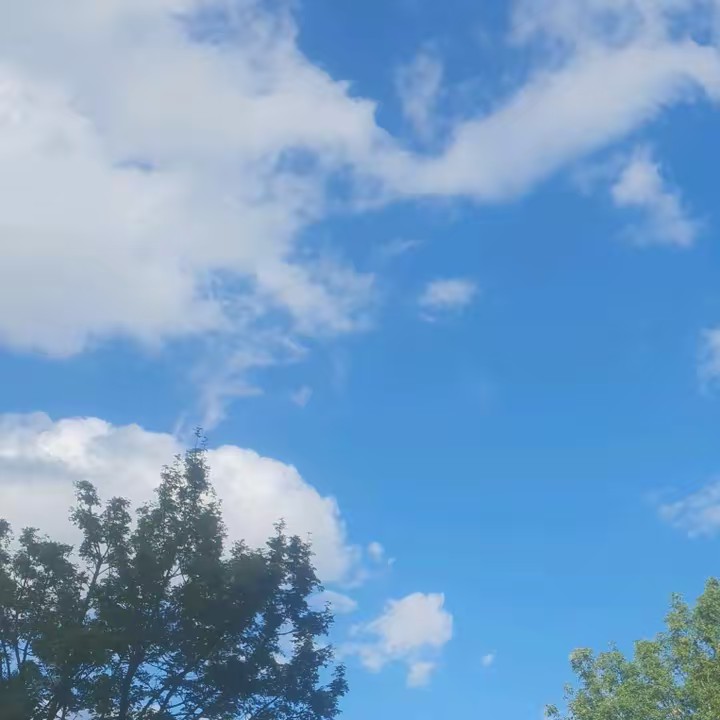 الفتاة _المتواضعة