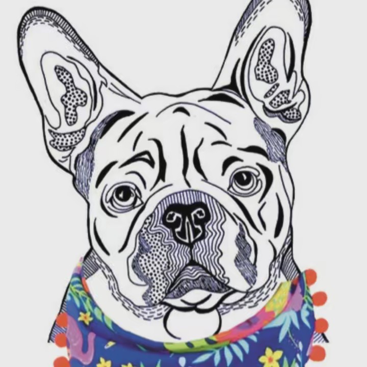 The Porterhouse Collection