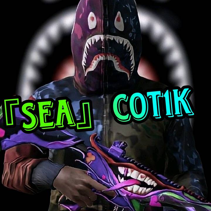 『SEA』cot1k