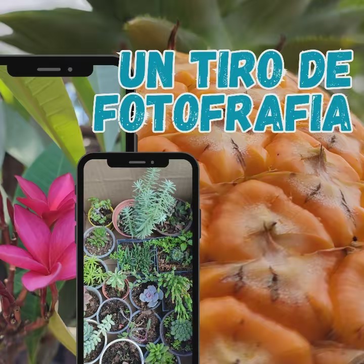 UN TIRO DE FOTOGRAFÍA