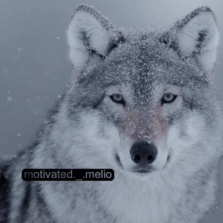 -𝚍𝚞𝚗𝚔𝚒𝚗-