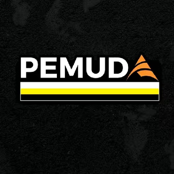 Pemuda AMANAH Perak