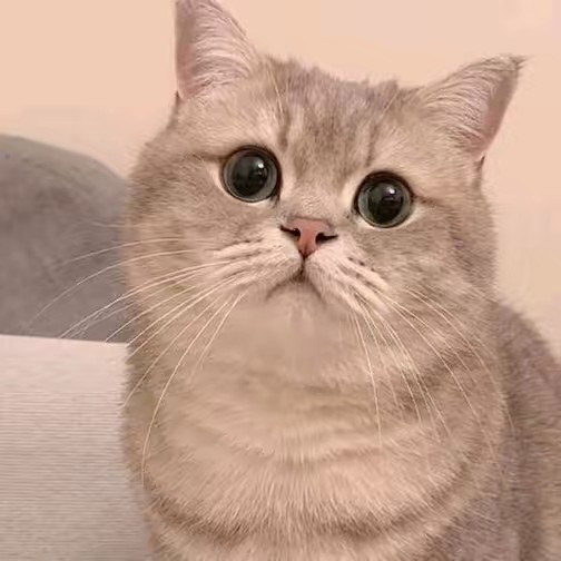 สุกี้หม้อรวม