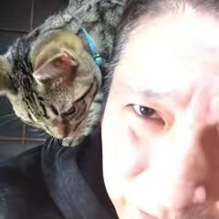 大橋 研大橋 研