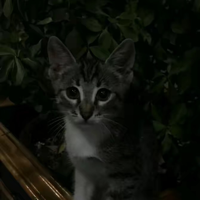 был(а) недавно