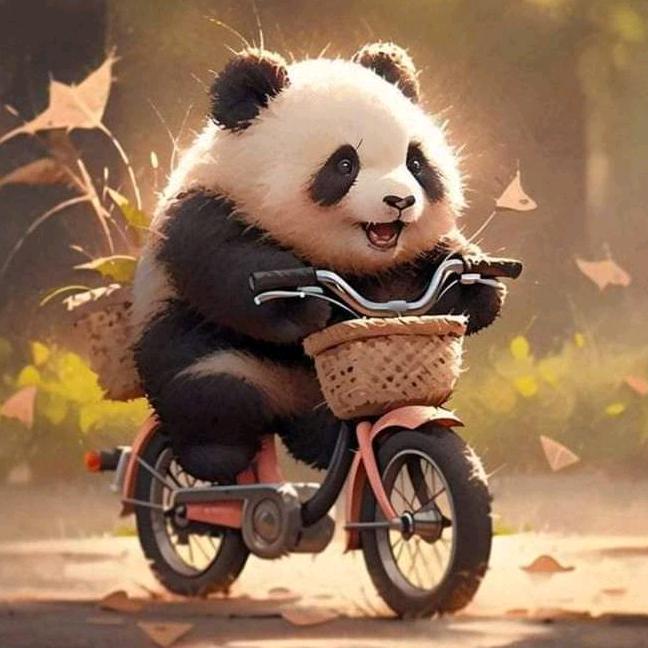 🐼小圓仔 – New🐼