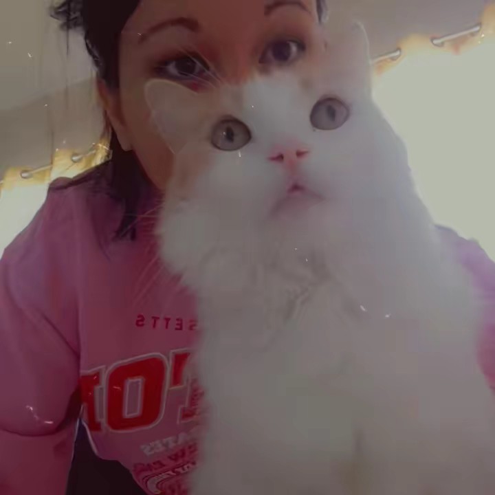 Mémé en france🐈🇵🇫