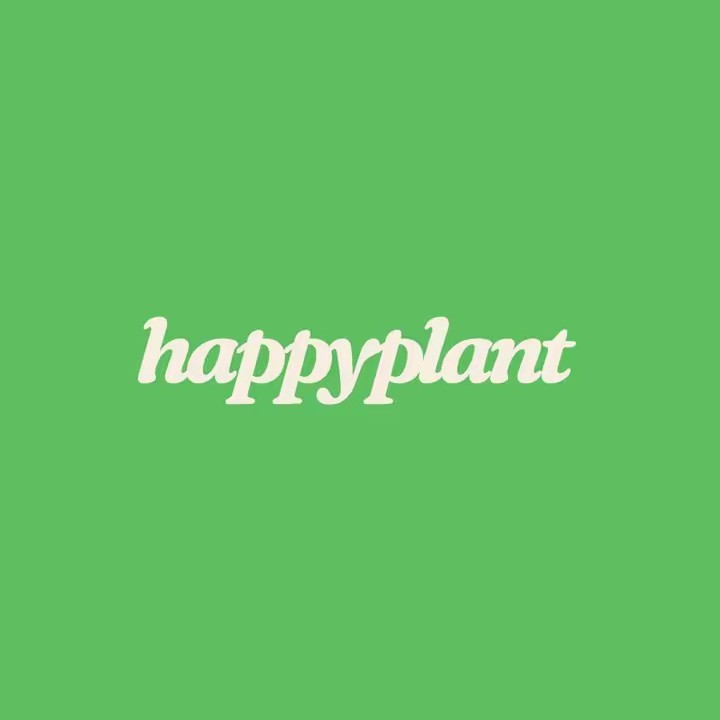 Happy Plant