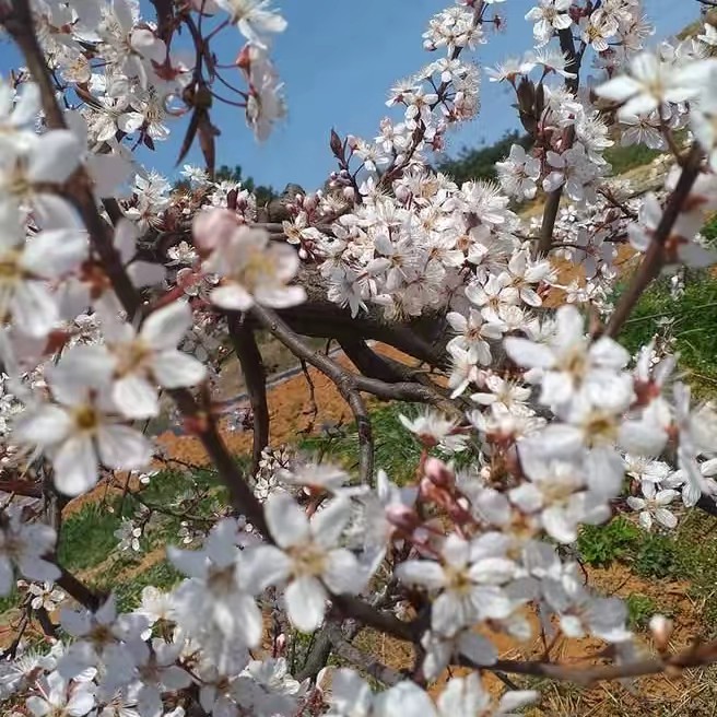 ฟุกุชื่อแมว🥰