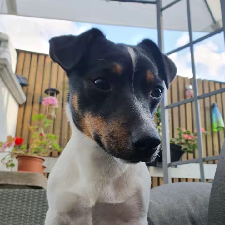 Rosenheim😝🫠🫠🫠