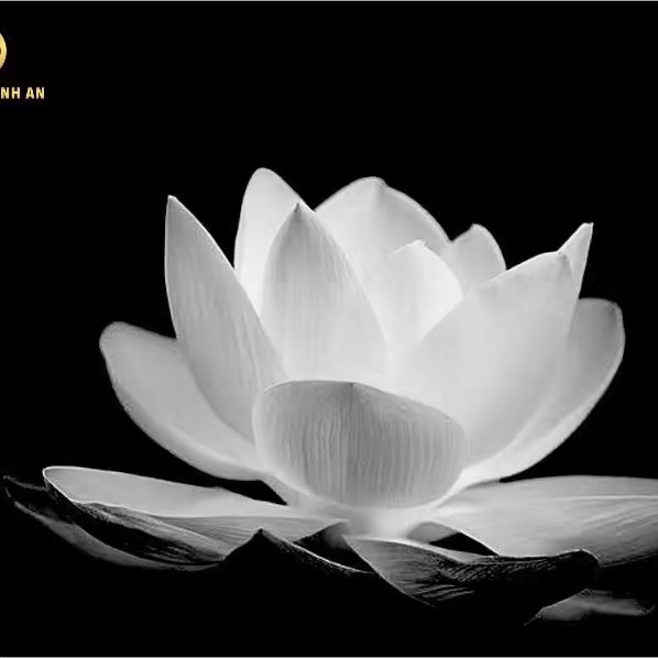 LÀNH 👰🏻‍♀️ XINH 88