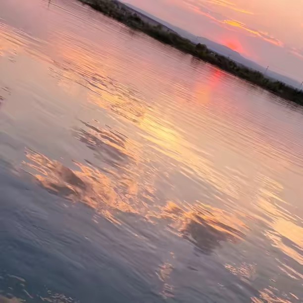 Al Wala Wal Baraa🏴📚