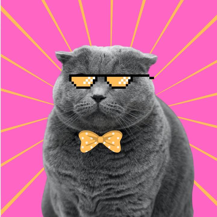 ไอแอมมู