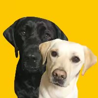 ティコレミちゃん