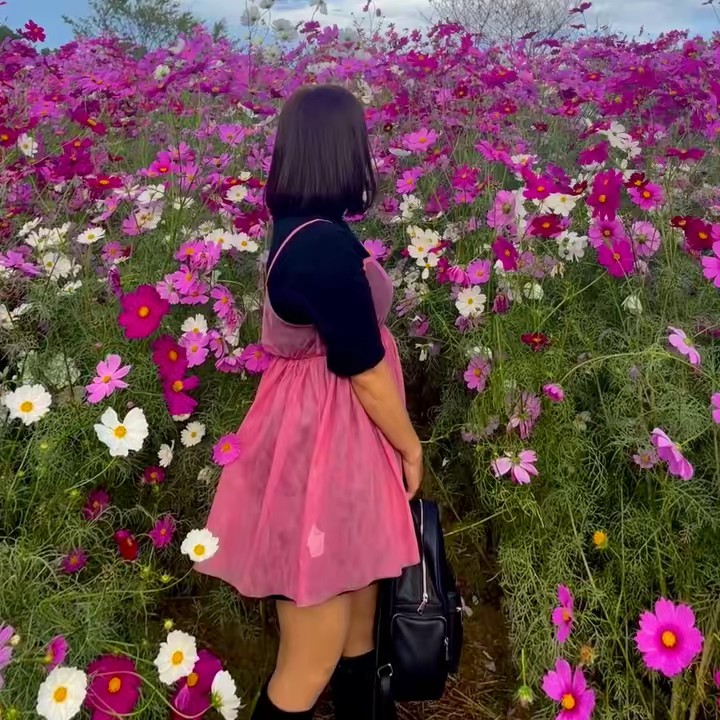 🌸Ligaya／リガや💖🌸