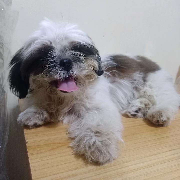 RAM EXTREME SOAP DEPOT