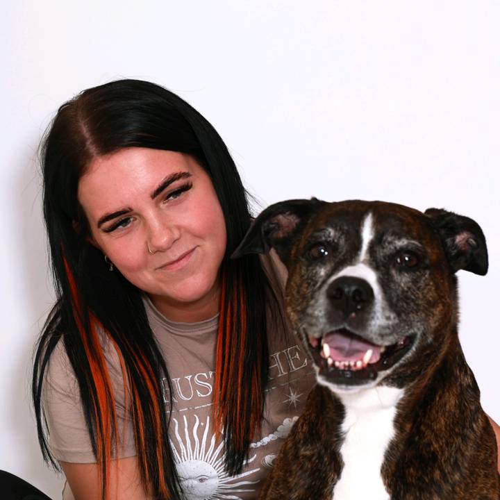 All about the dog 🐾🧡