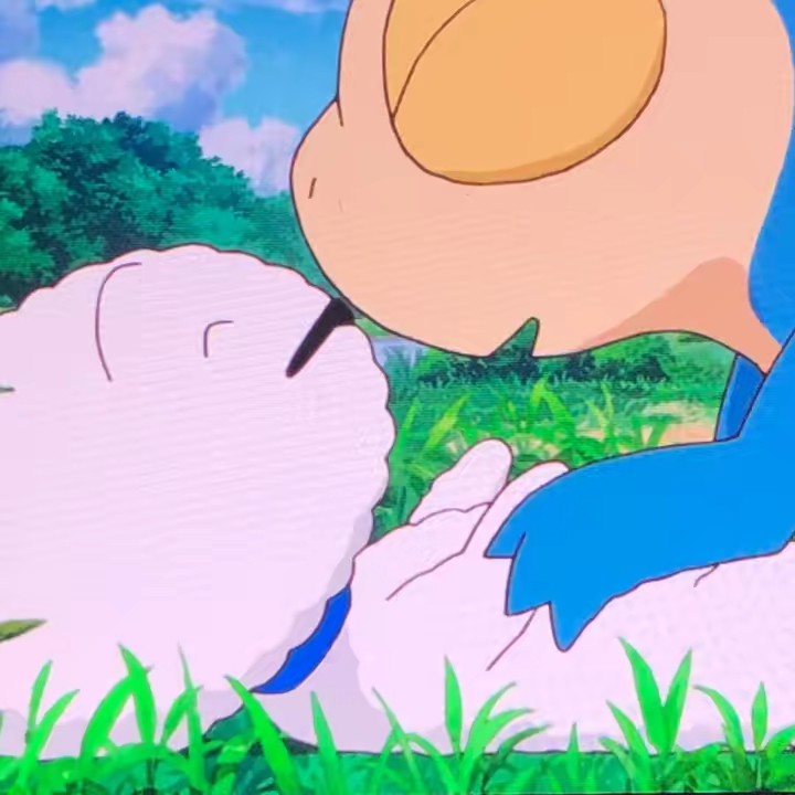 よっちゃん🐢⭐️