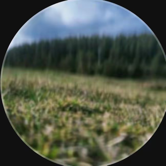 ⚜️ F🅰️Tℹ️  ⚜️