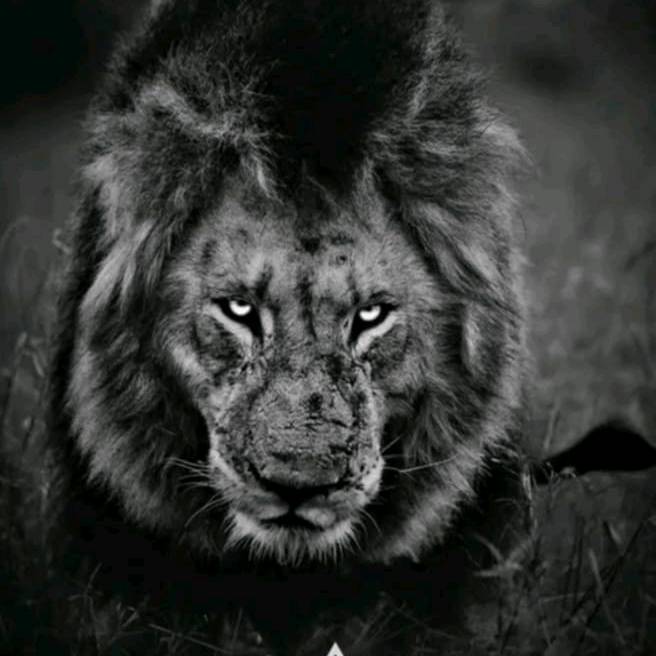 🧃 ALARCÓN.GJ 💯