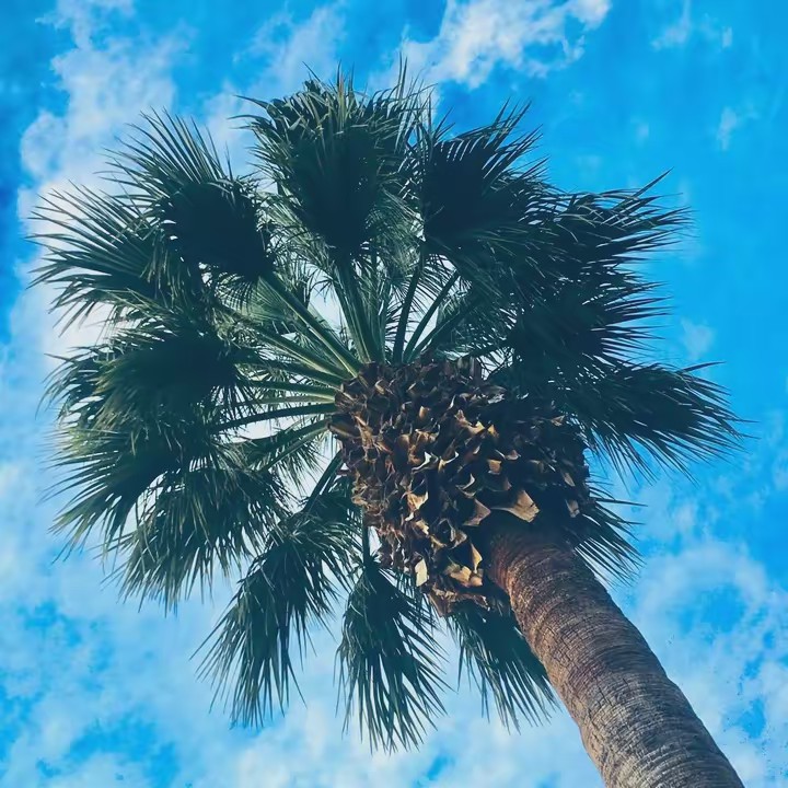 ♡︎𝙹𝚞𝚜𝚝 𝙼𝚎♡︎