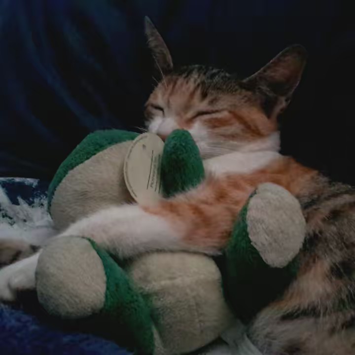 Ana valeria Herna145