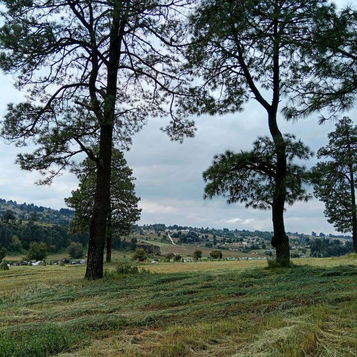 Pablo Abisay Rosario