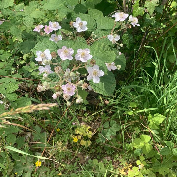 🧖🏽‍♀️🧸