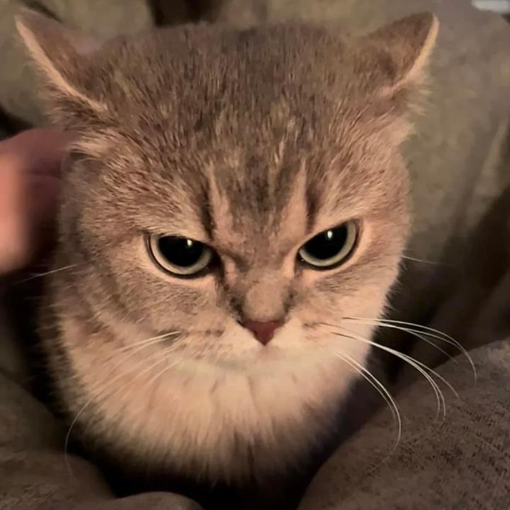 ตาน้อย🌦️