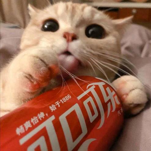 娜娜女孩向前衝💫（互關互关）