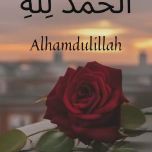 رعد لدعم الحساب