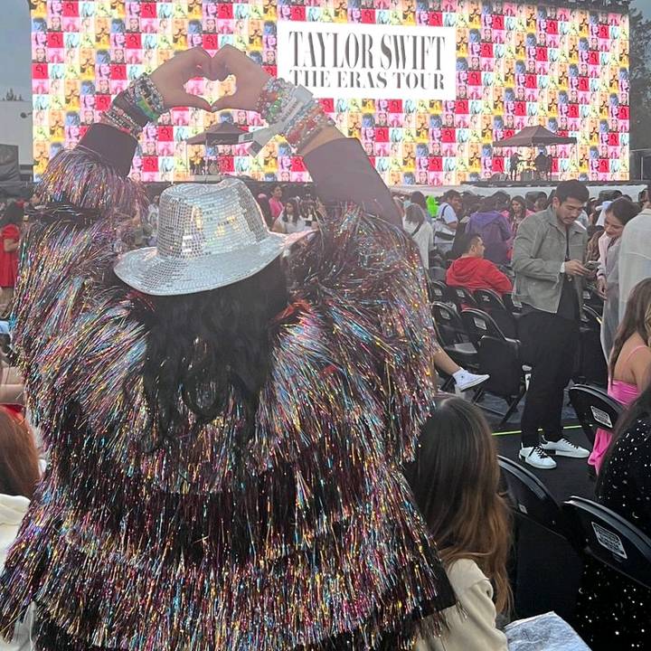 baratheon (taylor's version)