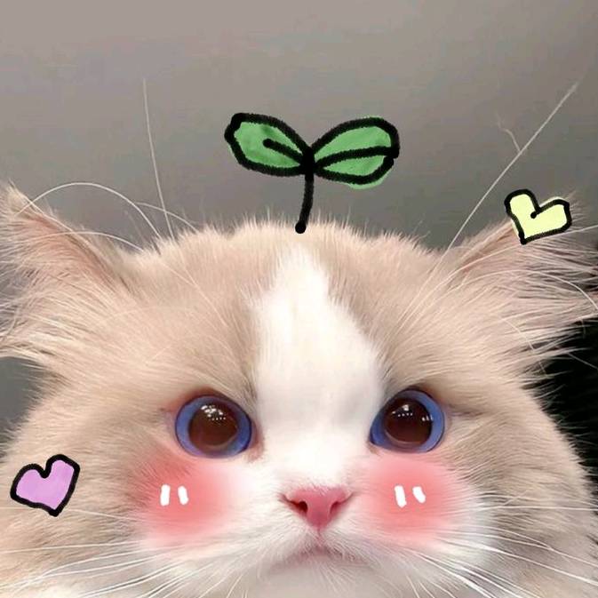 รักโกโก้