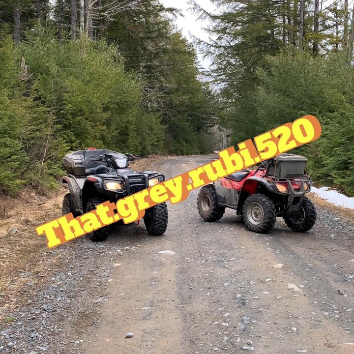 𝔗𝔥𝔞𝔱.𝔤𝔯𝔢𝔶.𝔯𝔲𝔟𝔦520