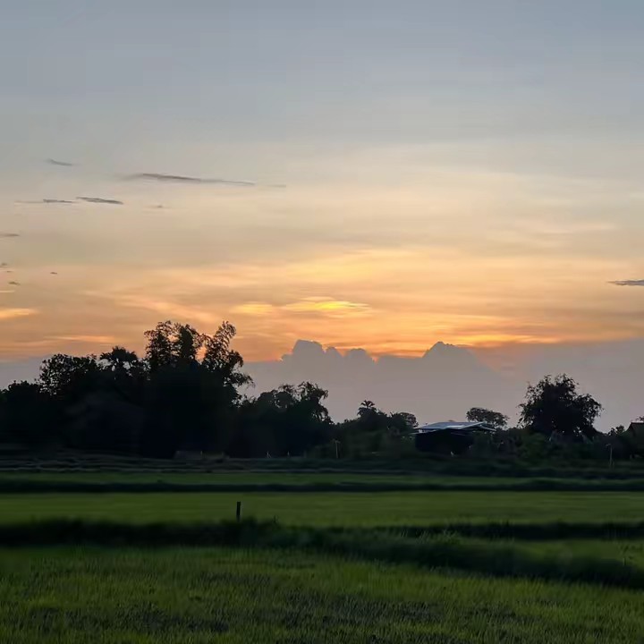 หนึ่งเดียว 💎42895